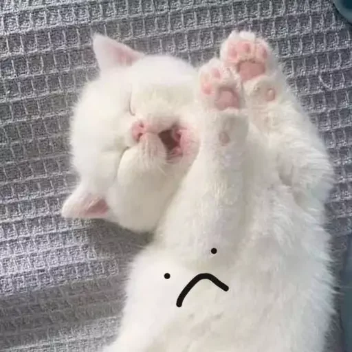 Sticker эляя блин @nkplzmeow - 11