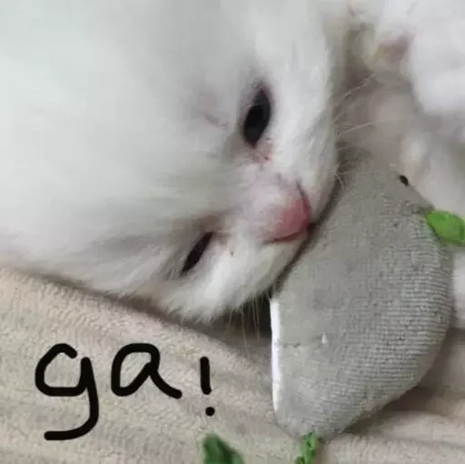 Sticker эляя блин @nkplzmeow - 2