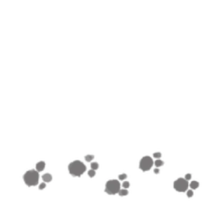 Sticker Китиковый кутик. - 1