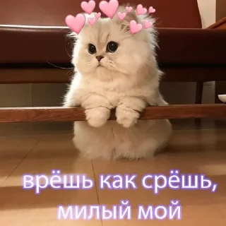 Стикер 🥰 - 5