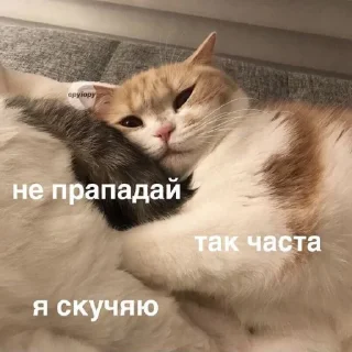 Стикер 🥰 - 9