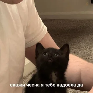 Стикер 🥰 - 11