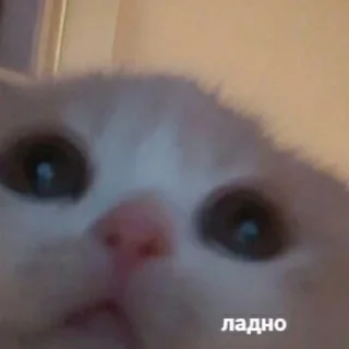 Стикер 🥰 - 8