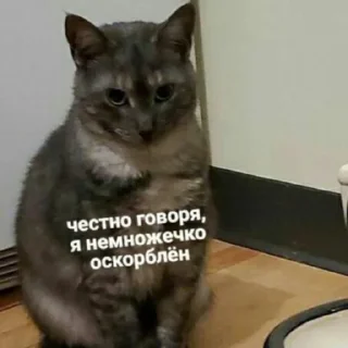 Стикер 🥰 - 0