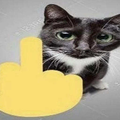 Sticker kitisss228 - 1