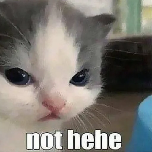 Sticker kitisss228 - 1