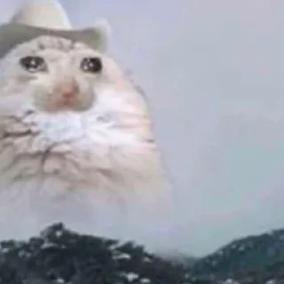 Sticker китис - 8