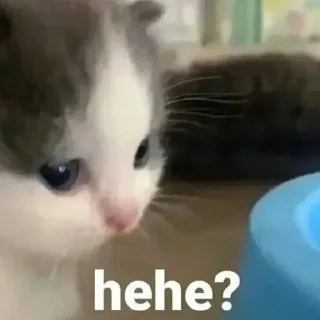 Sticker китис - 4