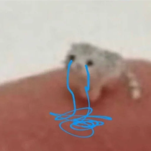 Sticker kititi_69 - 1