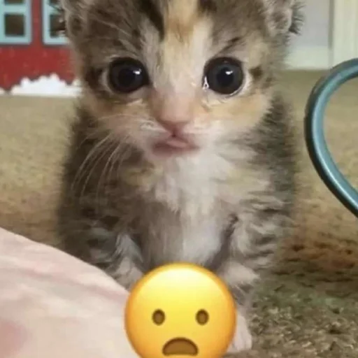 Sticker kititi_69 - 1