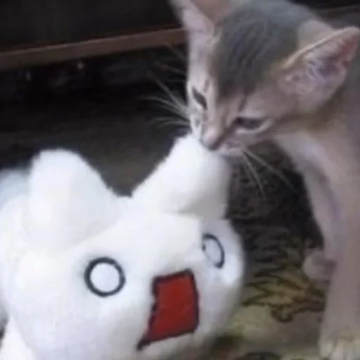 Стикер kititi_69 - 1