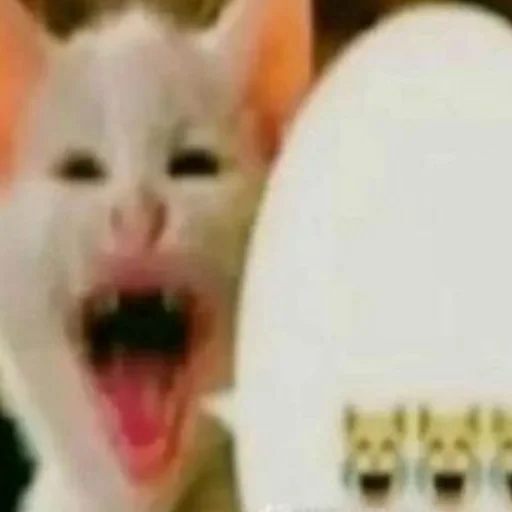 Стикер kititi_69 - 1