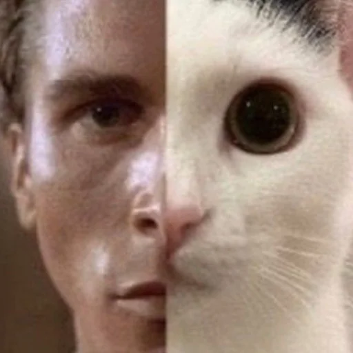 Стикер kititi_69 - 1