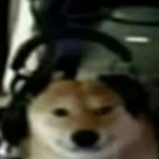 Стикер kititi_69 - 1