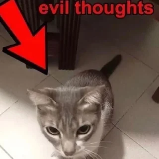 Sticker китики типа @neistovi_feng - 11