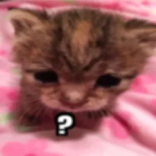 Sticker китики типа @neistovi_feng - 5