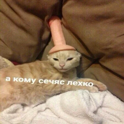 Sticker kitkoyreyr - 1