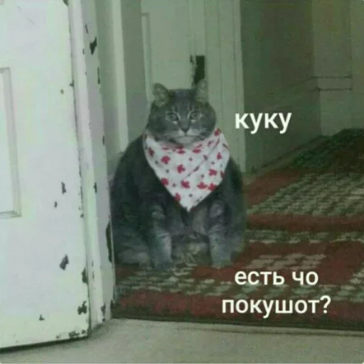 Sticker kitkoyreyr - 1