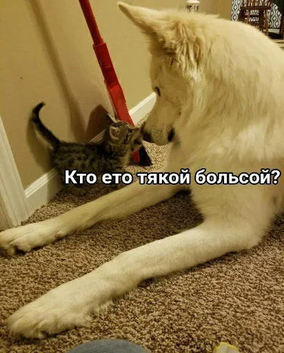 Sticker kitkoyreyr - 1