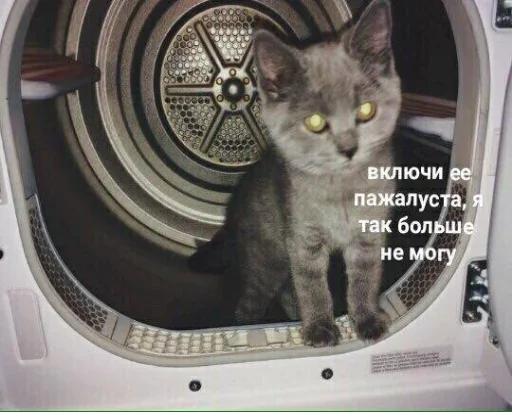 Стикер kitkoyreyr - 1