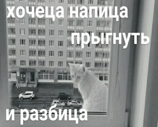 Sticker kitkoyreyr - 1