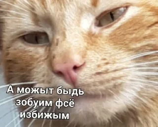 Sticker @i_love_akame - 4