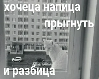 Sticker @i_love_akame - 2