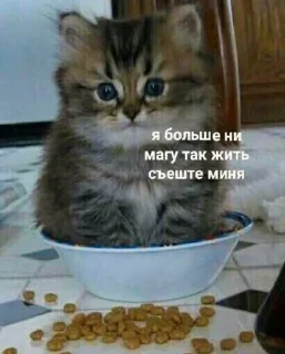 Sticker @i_love_akame - 0