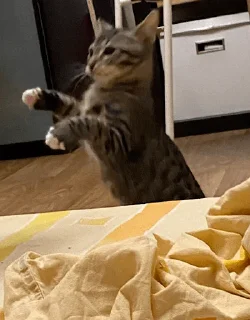 Sticker китоэто - 0