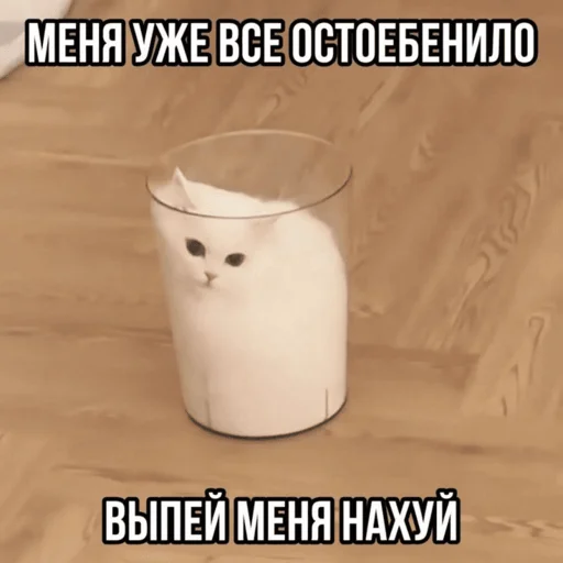 Sticker kitsbymemeszipfolder - 1