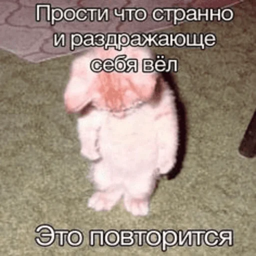 Sticker kitsbymemeszipfolder - 1