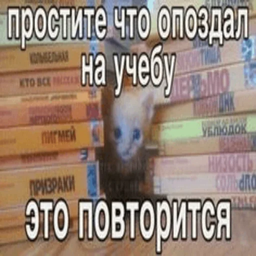 Sticker kitsbymemeszipfolder - 1