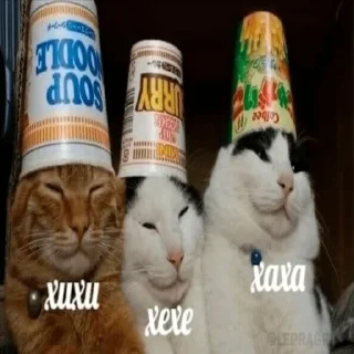 Стикер Китики by @memeszipfolder - 2