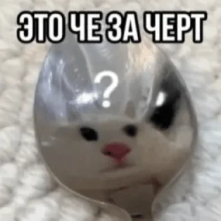 Стикер Китики by @memeszipfolder - 3