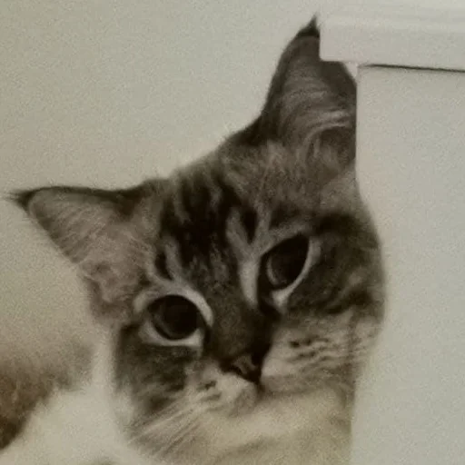 Стикер kitsons - 1