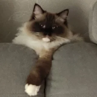 Стикер Нукалот - 0