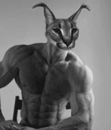 кошка животное млекопитающее