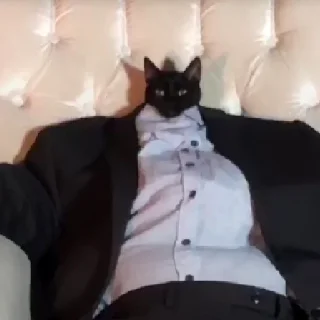 Стикер хайповые котеки - 11