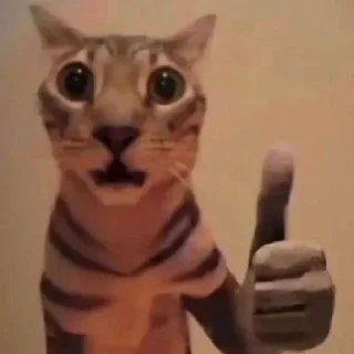 Стикер хайповые котеки - 9