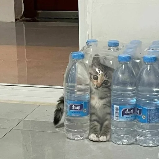 drinking water food bottle