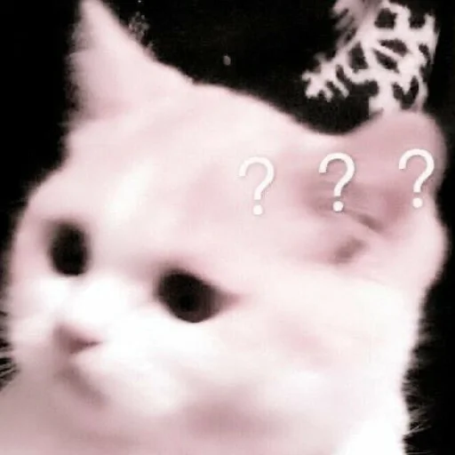 Sticker kittens_33 - 1