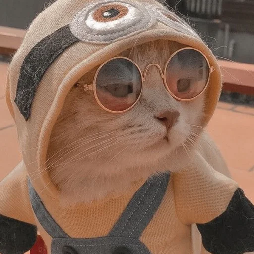 Sticker kittens_33 - 1