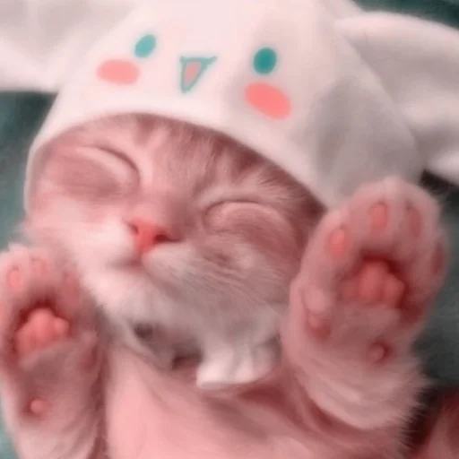 Sticker kittens_33 - 1