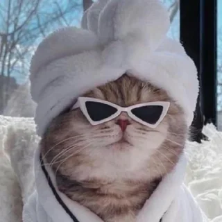 Стикер котики. - 6