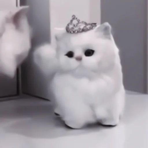 кошки малого и среднего размера кошачьи комнатный