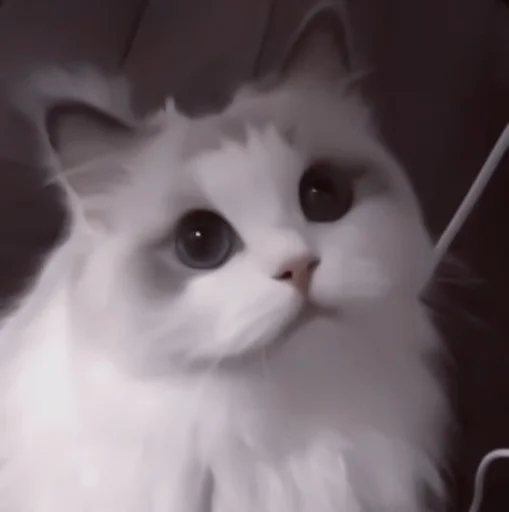 млекопитающее животное кошка