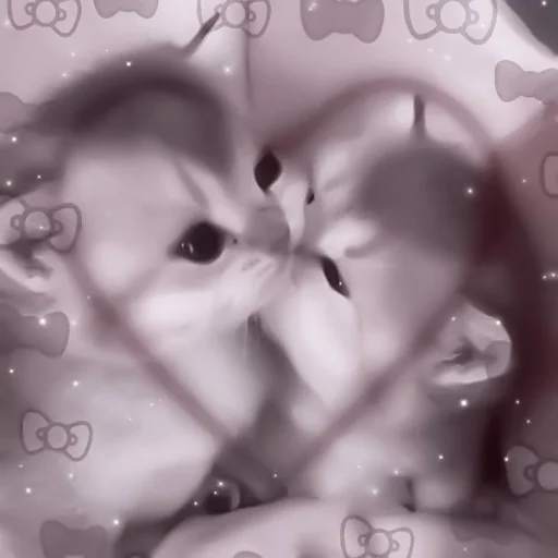 младенец черно-белый