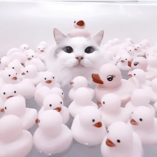 кошка животное снеговик