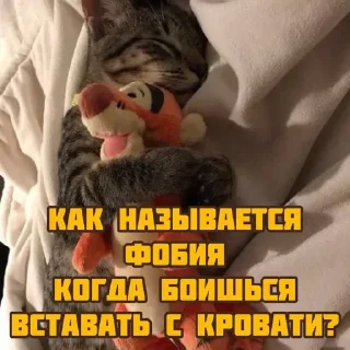Sticker котята и мудрые мысли 2 @kittensandquotes - 6