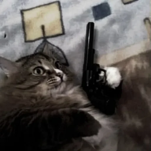 small to medium-sized cats cat felidae